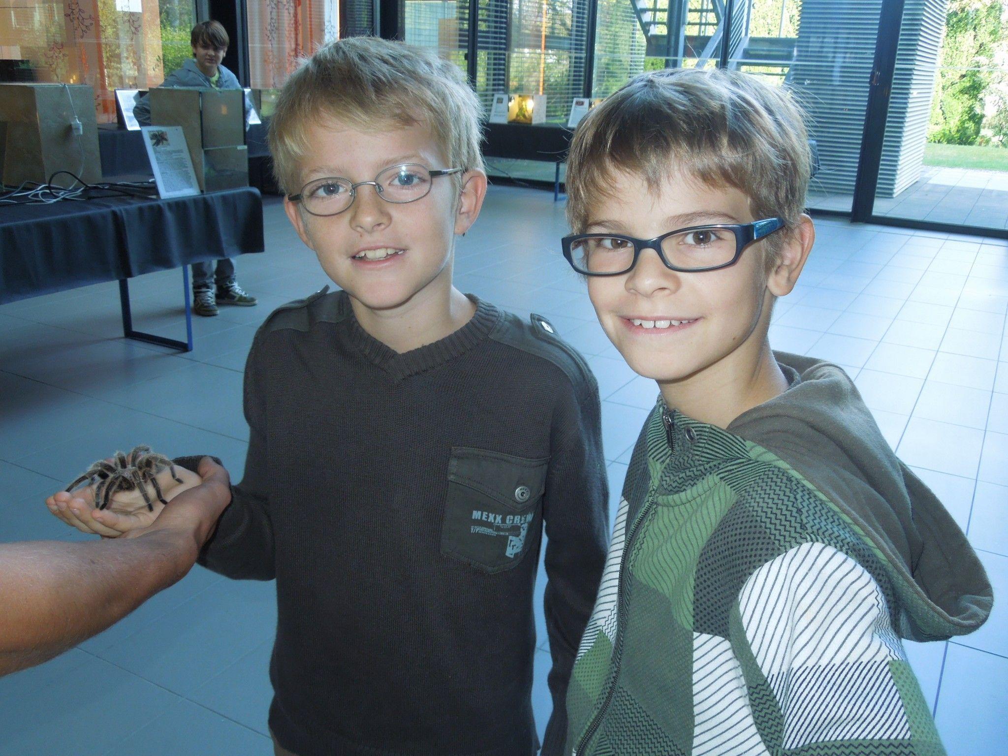 Die Kinderreporter Elijah und Dominik beim aufregenden und krabbligen Einsatz bei der Insektenausstellung in Dornbirn.