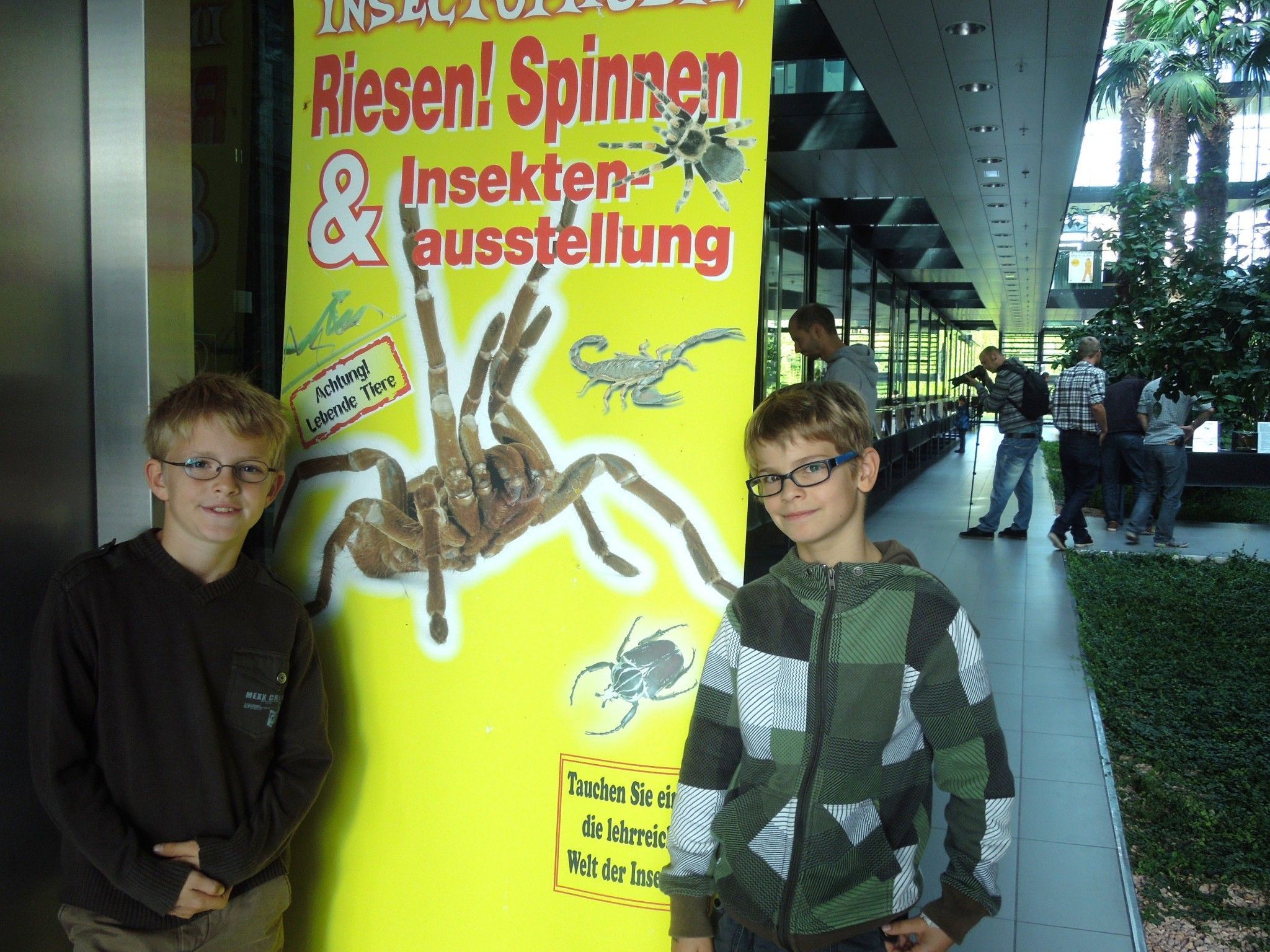 Am Sonntag gastiert die Insektenausstellung im Pfarrsaal in Lochau.