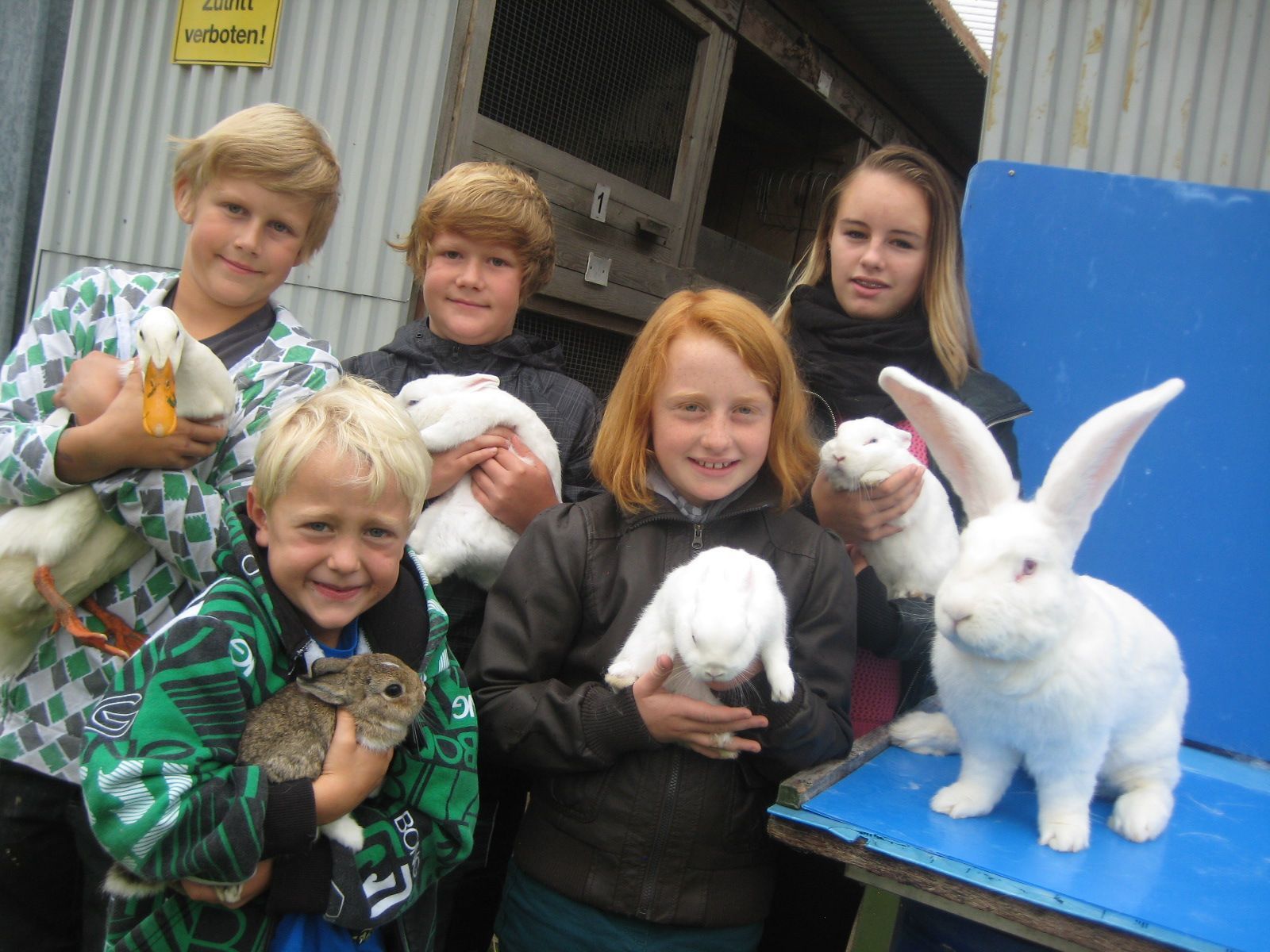 Beim Streichelzoo haben die Kids die Gelegenheit, die Tiere hautnah zu erleben. Im Bild: David, Jan, Fabian, Nina und Julia. Beim Streichelzoo haben die Kids die Gelegenheit, die Tiere hautnah zu erleben. Im Bild: David, Jan, Fabian, Nina und Julia.