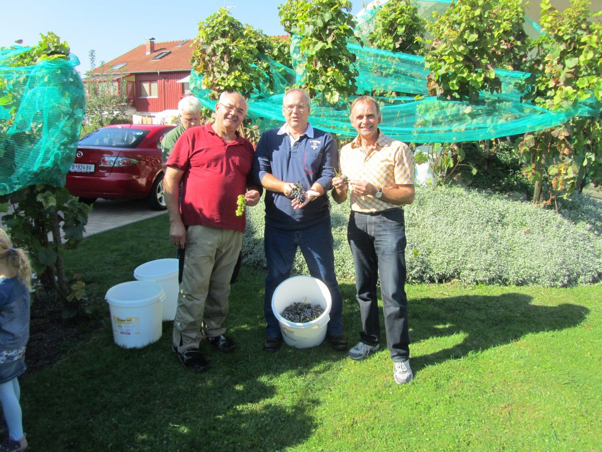 In den Rebstöcken (von links): Michele d’Alsazia, Charly Lang, Manfred Leipold. In den Rebstöcken (von links): Michele d’Alsazia, Charly Lang, Manfred Leipold.