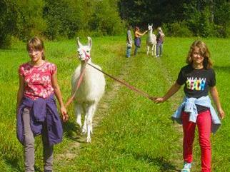 Lamas und Alpacas eignen sich besonders gut für die Arbeit mit Kindern