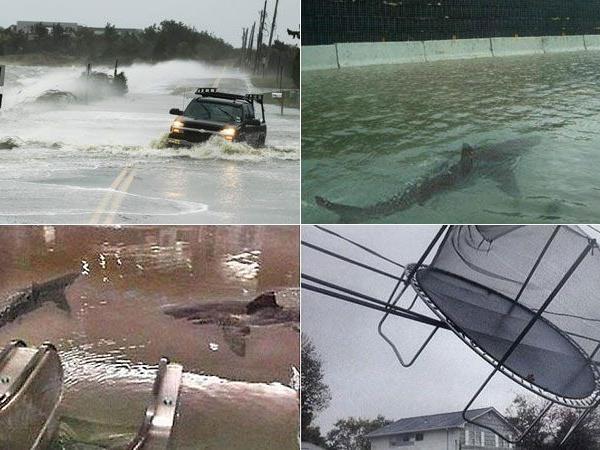 Zahlreiche echte wie auch gefälschte Bilder des Sturms finden sich auf sozialen Netzwerken.