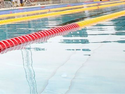 Ein 63-jähriger Schwimmtrainer aus der Nähe von Wien soll Minderjährige missbraucht haben. Ein 63-jähriger Schwimmtrainer aus der Nähe von Wien soll Minderjährige missbraucht haben.