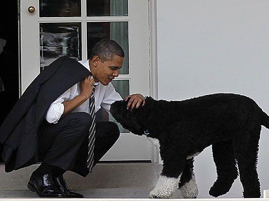 Zwei Töchter, ein Hund. Das reicht für Präsident Barack Obama.
