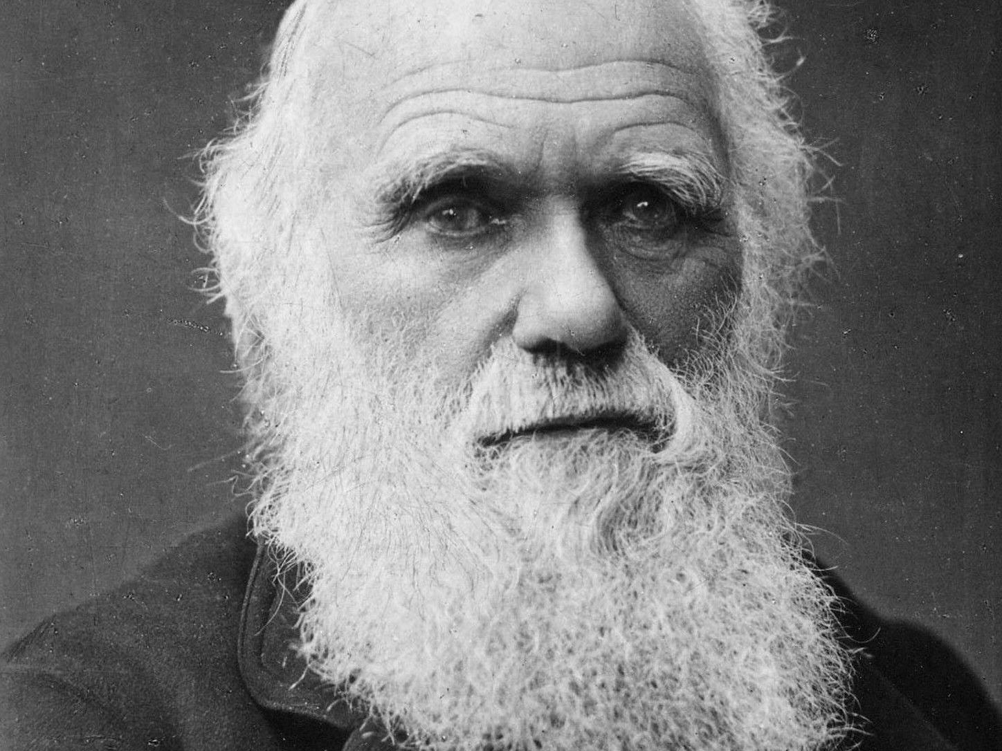 Auf Facebook zur Wahl von Charles Darwin aufgerufen.