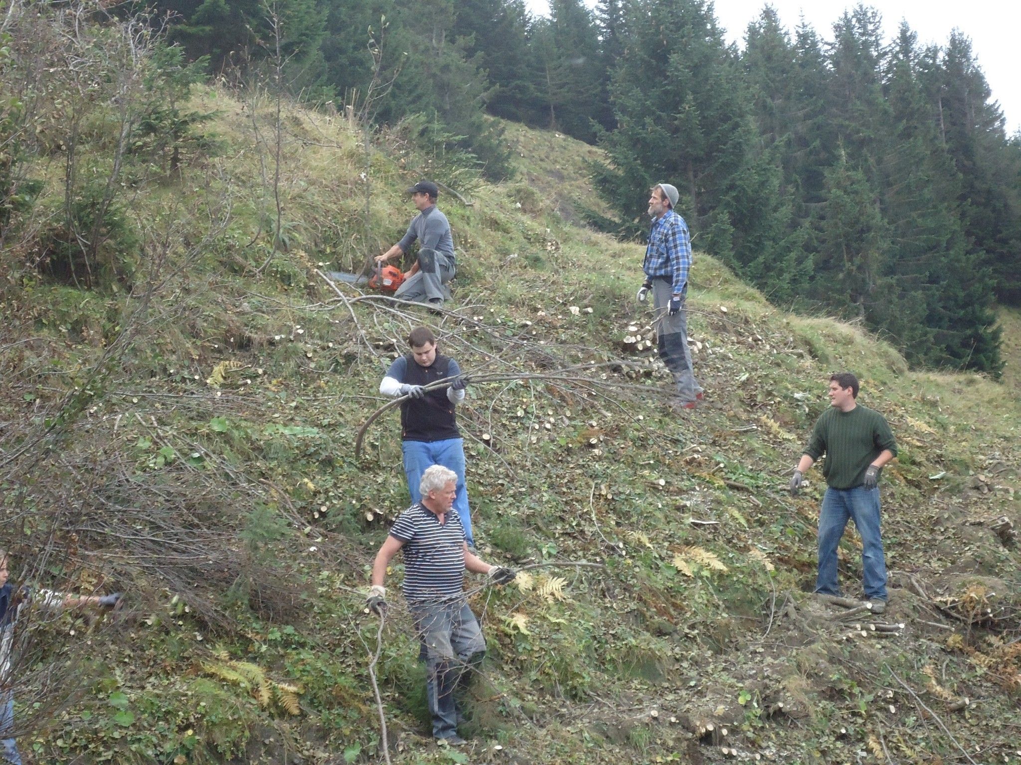 24 Männer, Frauen und Kinder kamen in Fraxern ihrer Verantwortung "für eine Zukunft MIT unserer Natur" nach und beteiligten sich an der Rodungsaktion. 24 Männer, Frauen und Kinder kamen in Fraxern ihrer Verantwortung "für eine Zukunft MIT unserer Natur" nach und beteiligten sich an der Rodungsaktion.