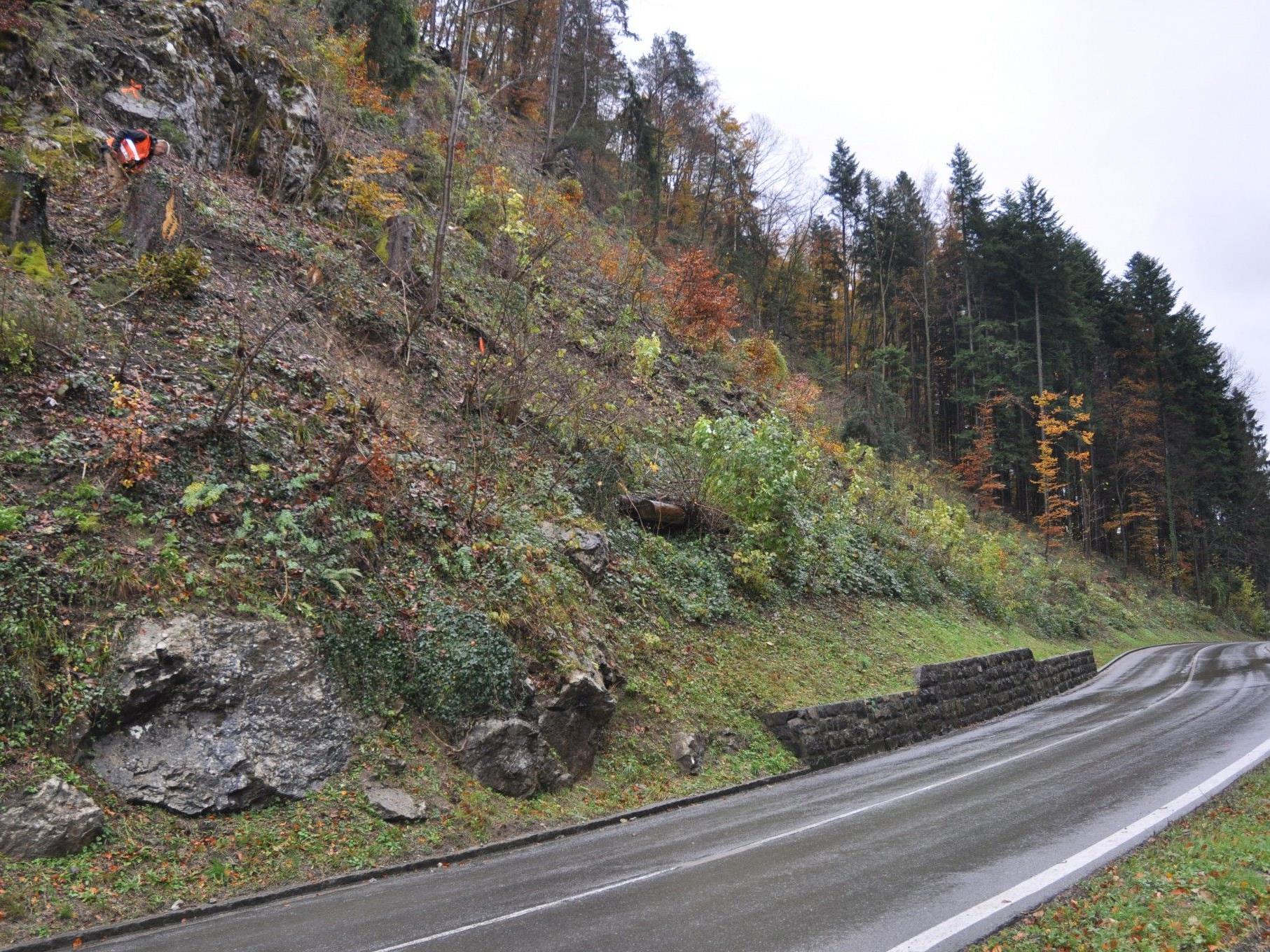 Zwischen Kilometer 1,70 - 1,90 werden im Klauser Wald beidseitig Schutznetze errichtet.