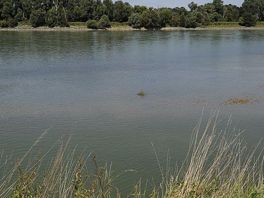 Die Donau soll bei Korneuburg mit Pestiziden verunreinigt worden sein