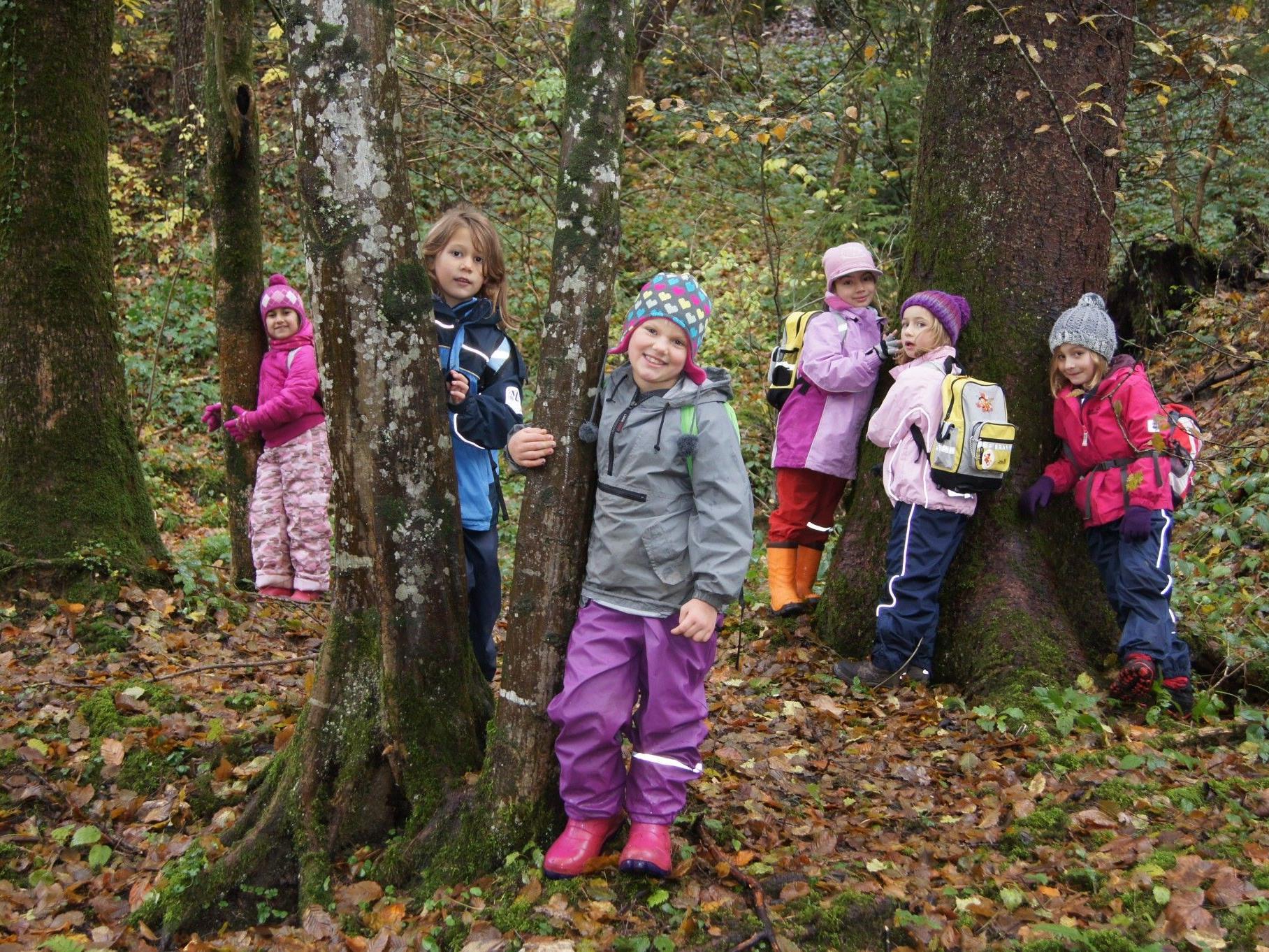 Den Wald hautnah erleben – Kinder der VS Gütle beim Unterricht in freier Natur.
