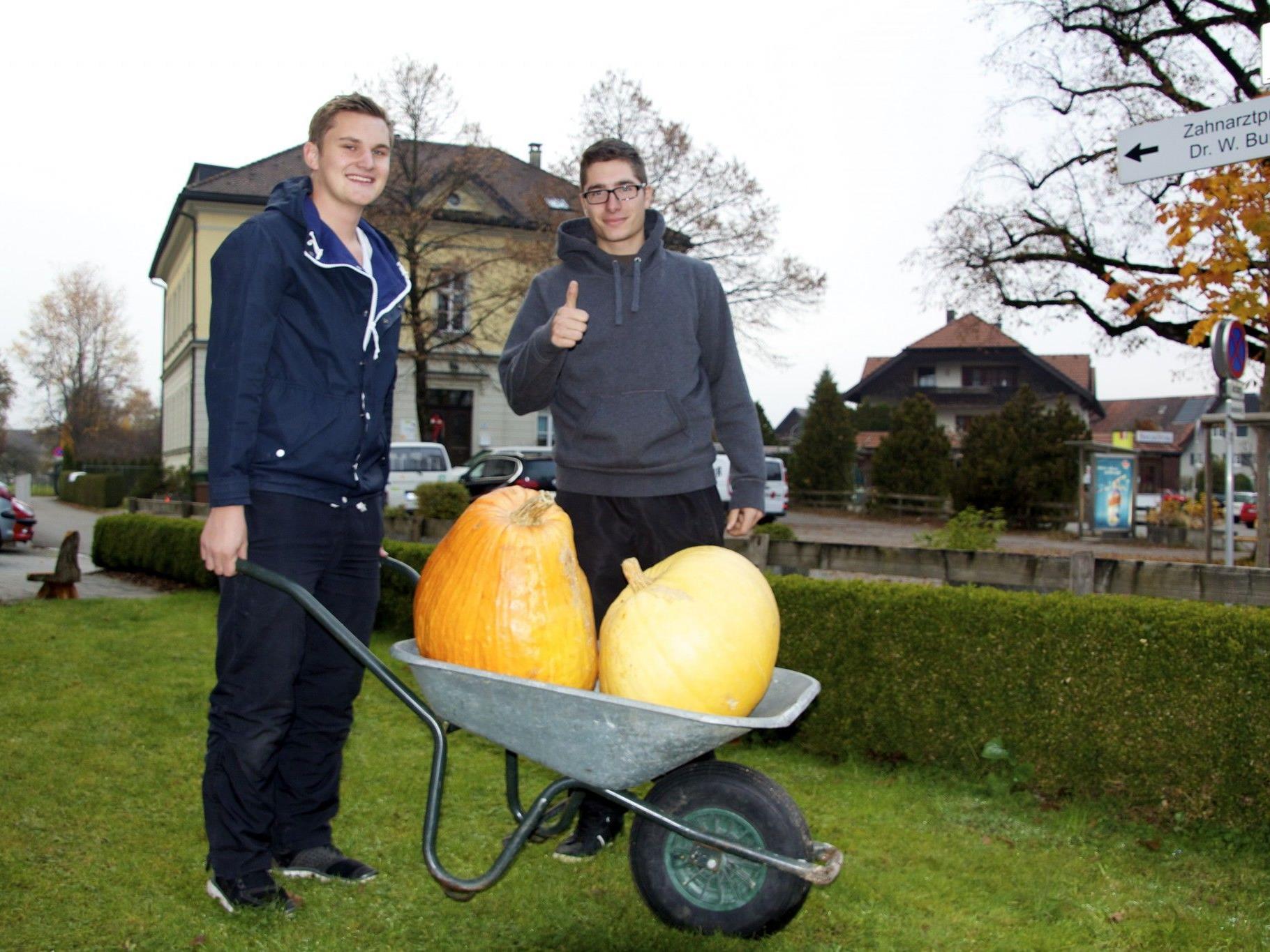 Adrian Moosbrugger und Emanuel Reiner sind stolz auf ihre Kürbisse, die sie im Hausgarten präsentieren
