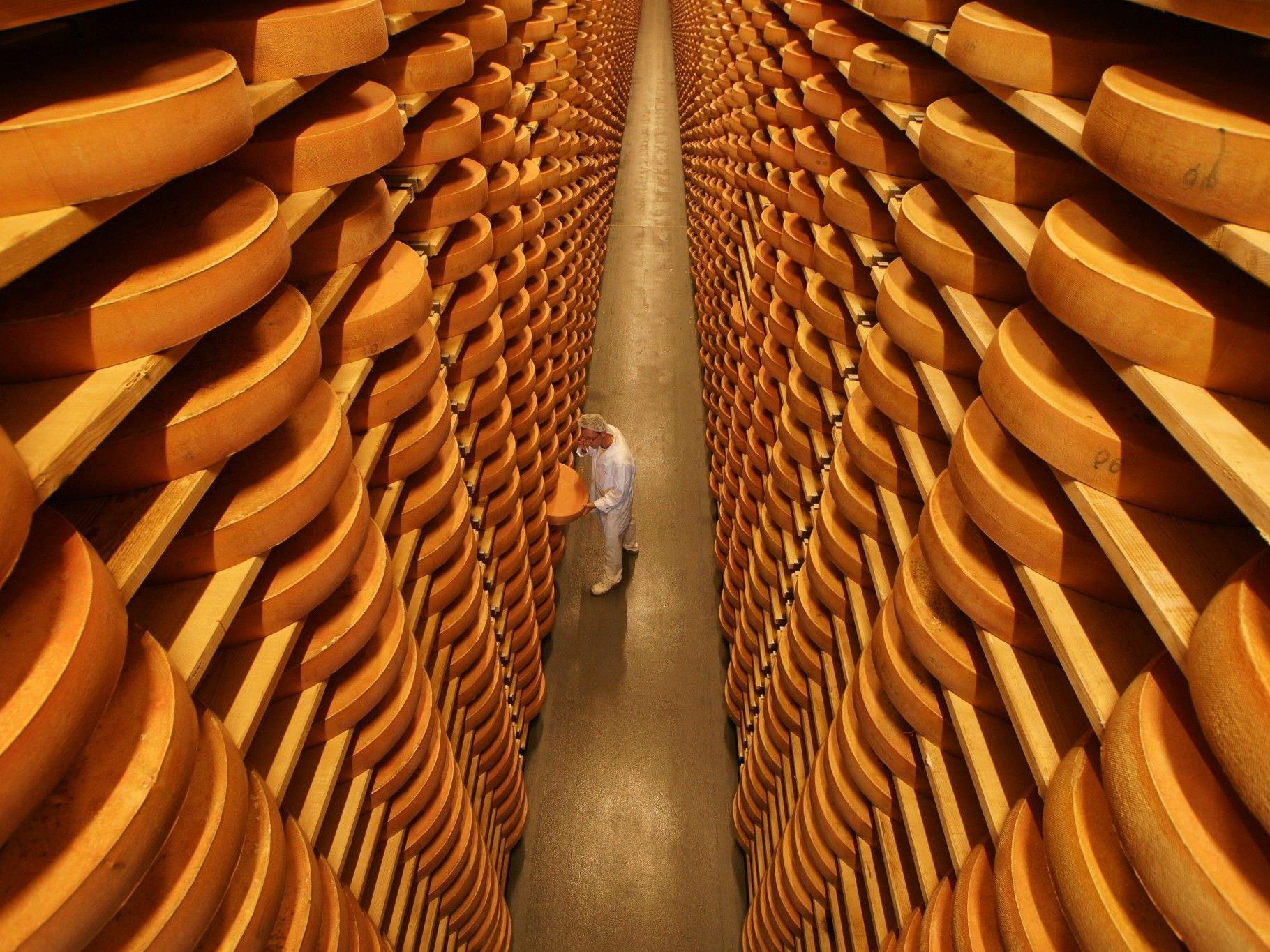 Ist Überdüngung schuld an den Qualitätsproblemen des Bregenzerwälder Käse?