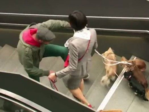 Der Weg zum Gratis-Ticket ist alles andere als einfach Der Weg zum Gratis-Ticket ist alles andere als einfach