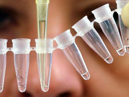 Ein versuchter Raub in Wiener Neustadt konnte nach einer DNA-Analyse geklärt werden. Ein versuchter Raub in Wiener Neustadt konnte nach einer DNA-Analyse geklärt werden.