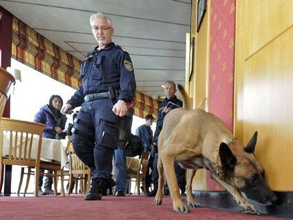 Am Mittwoch trainierten die Drogenhunde der Wiener Polizei in einer Höhe von 170 Metern. Am Mittwoch trainierten die Drogenhunde der Wiener Polizei in einer Höhe von 170 Metern.