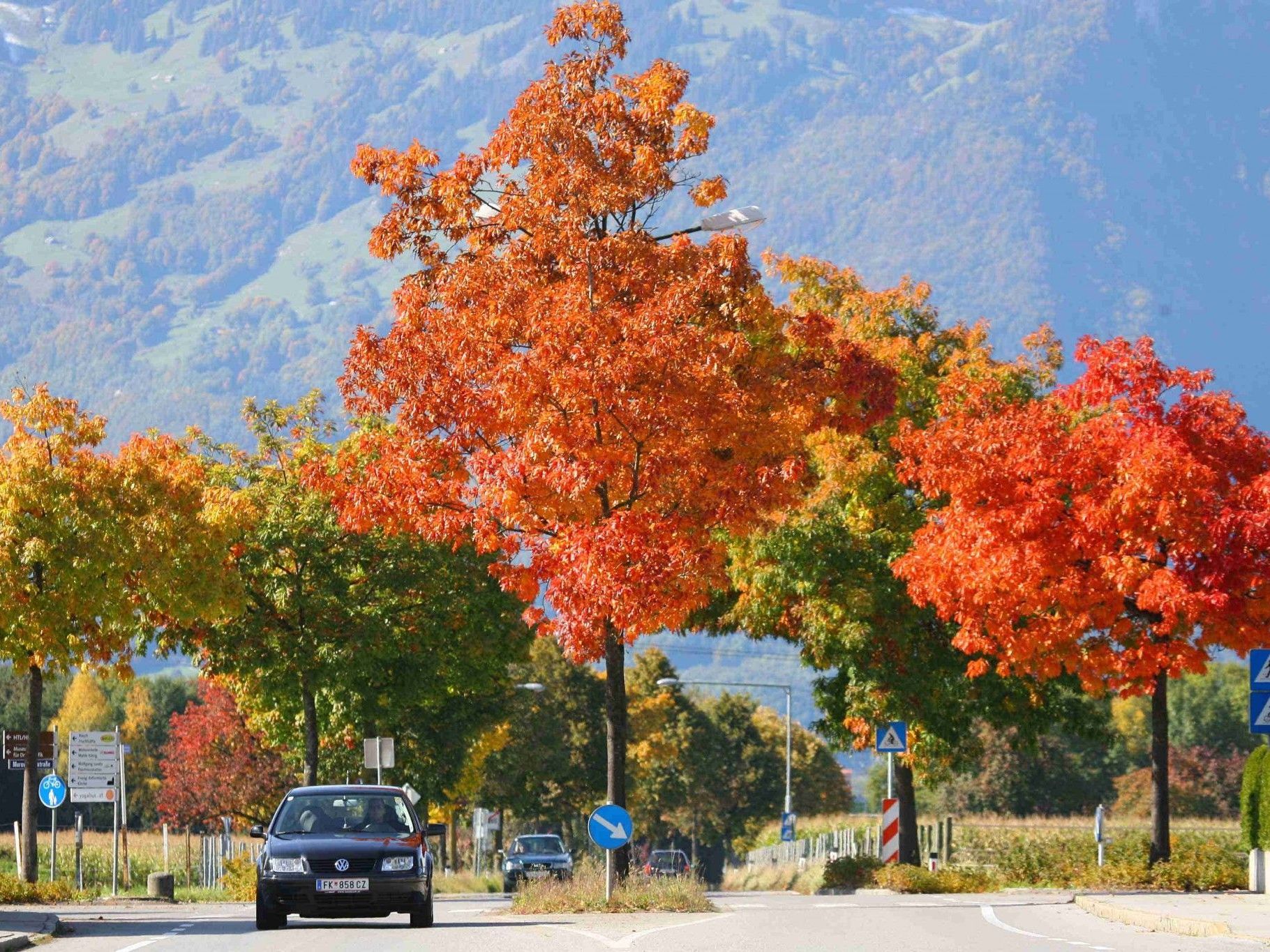 Rankweil: Kompromiss in Sicht. Rankweil: Kompromiss in Sicht.