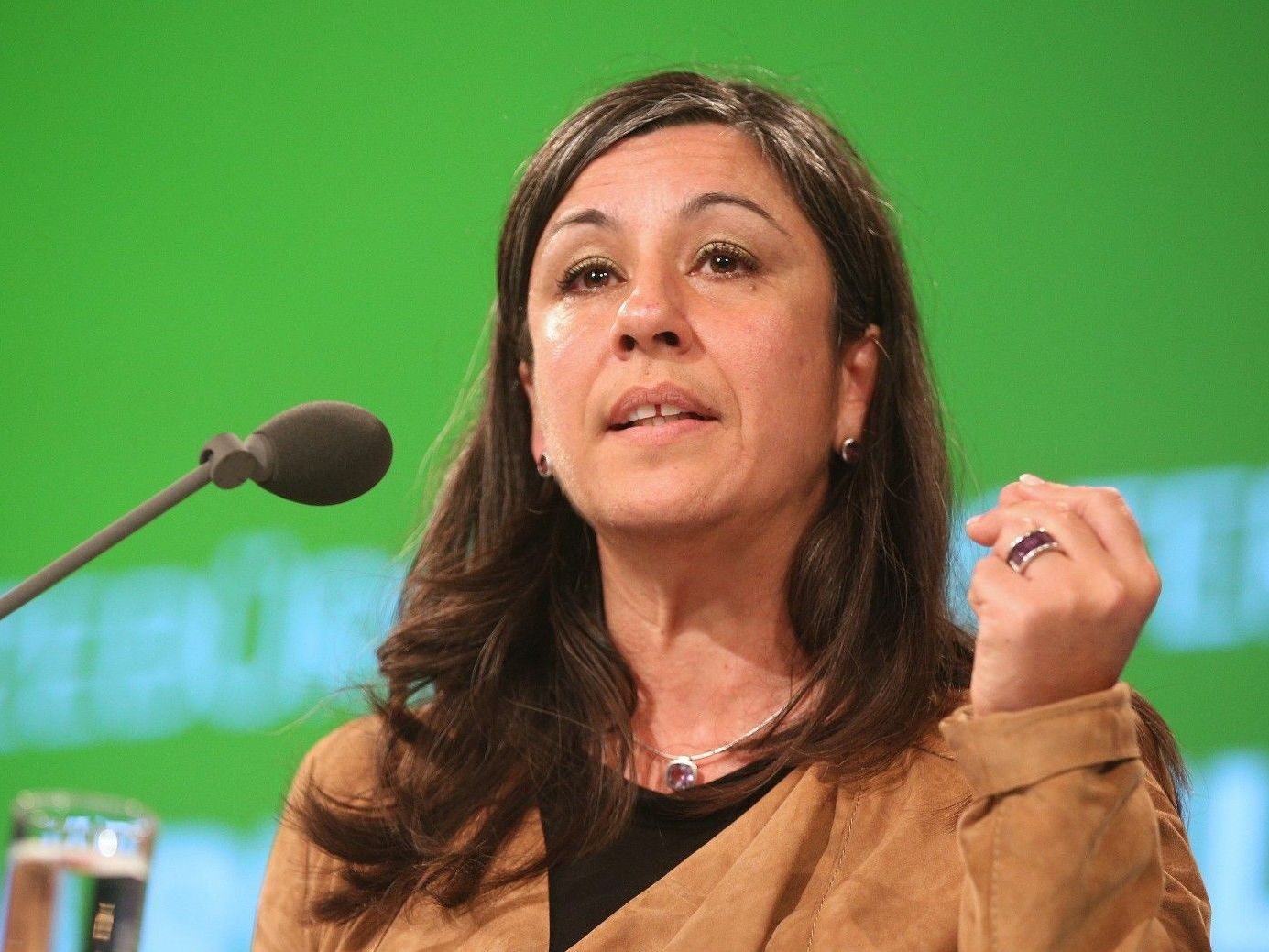 Maria Vassilakou ist erfreut über die Einführung des "Öffi-Jobtickets". Maria Vassilakou ist erfreut über die Einführung des "Öffi-Jobtickets".