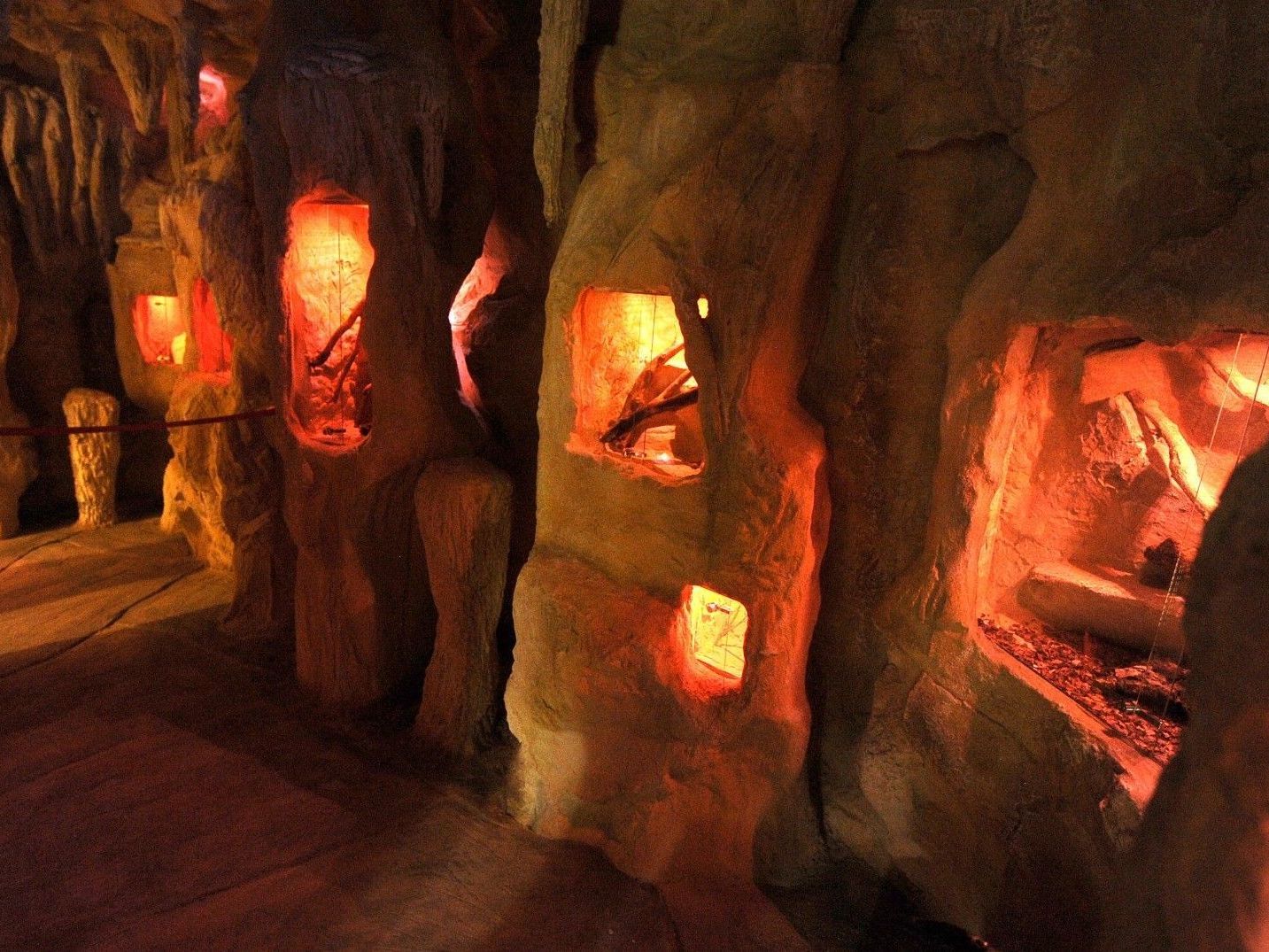 Das "Haus des Meeres" eröffnete am Mittwoch seinen Tropfsteinhöhlen-Grotte. Das "Haus des Meeres" eröffnete am Mittwoch seinen Tropfsteinhöhlen-Grotte.