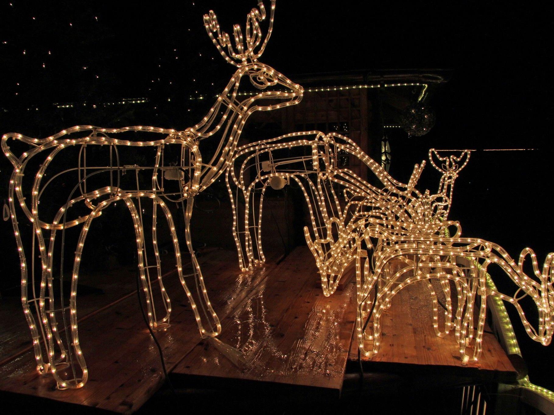 Weihnachtsbeleuchtung von Elmar Wieland in Rankweil
