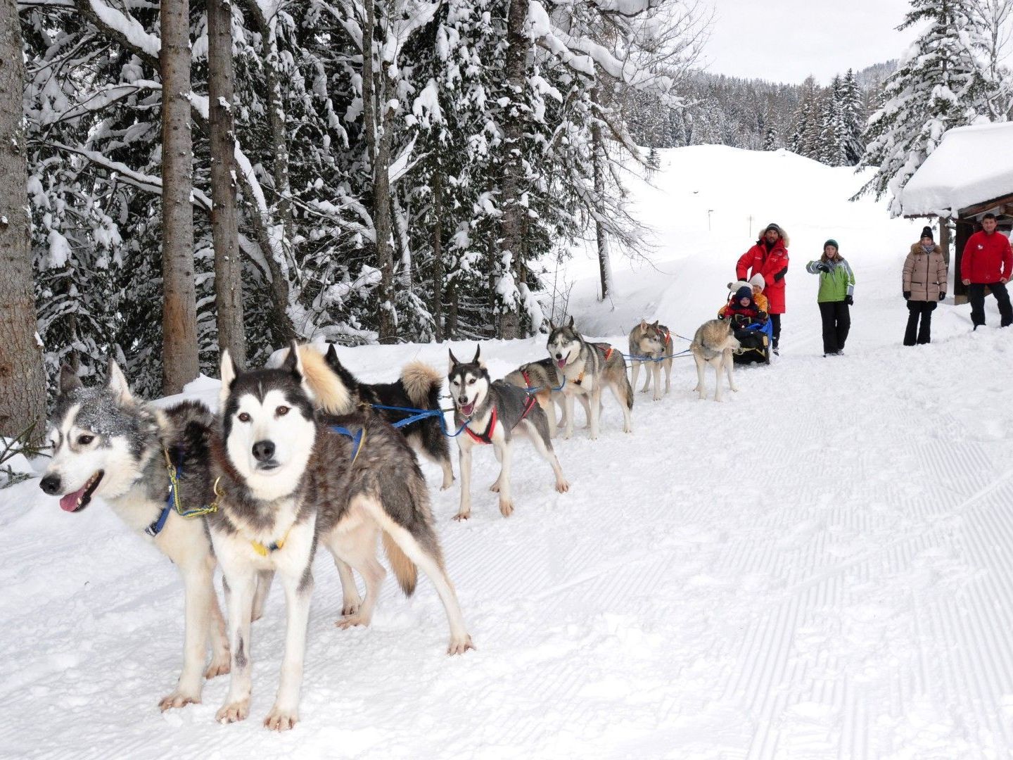 Ein Renntaxi der besonderen Art Ein Renntaxi der besonderen Art