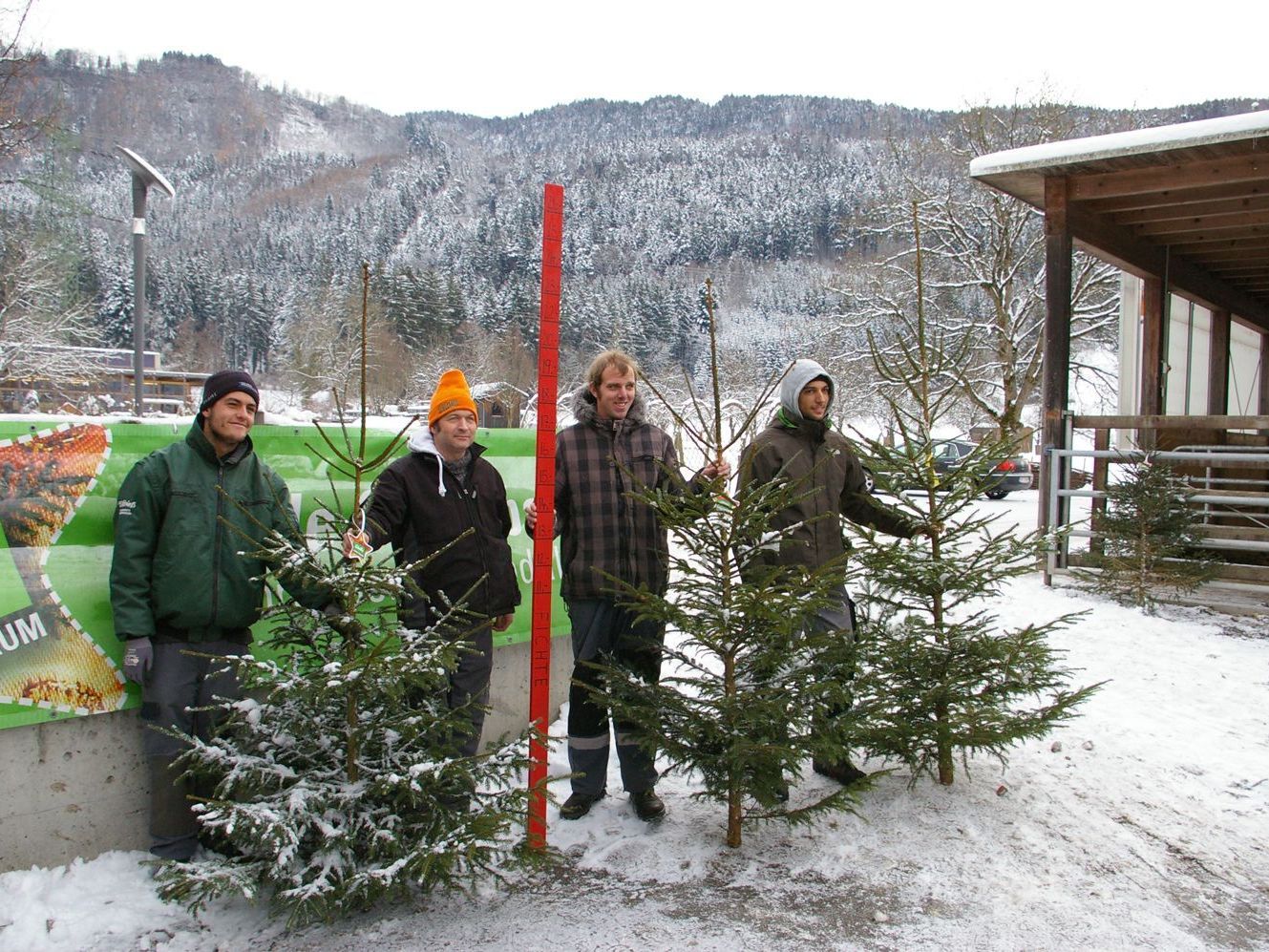 Am Sunnahof werden nur echte „Ländle Christbäume“ aus der Region verkauft. Das Sunnahof-Team ist für den Ansturm gerüstet.