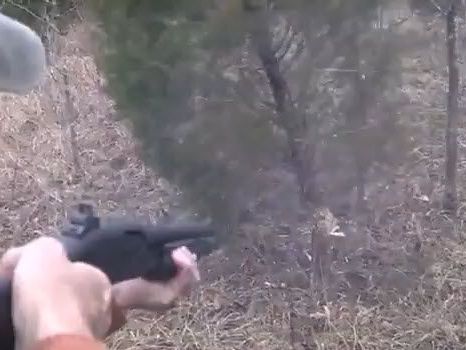 Sieben Schüsse bis er fällt. Mit dem Gewehr zum Weihnachtsbaum. Sieben Schüsse bis er fällt. Mit dem Gewehr zum Weihnachtsbaum.