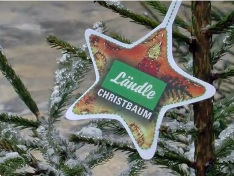 "Ländle Christbaum": Gütesiegel für regionale Qualität
