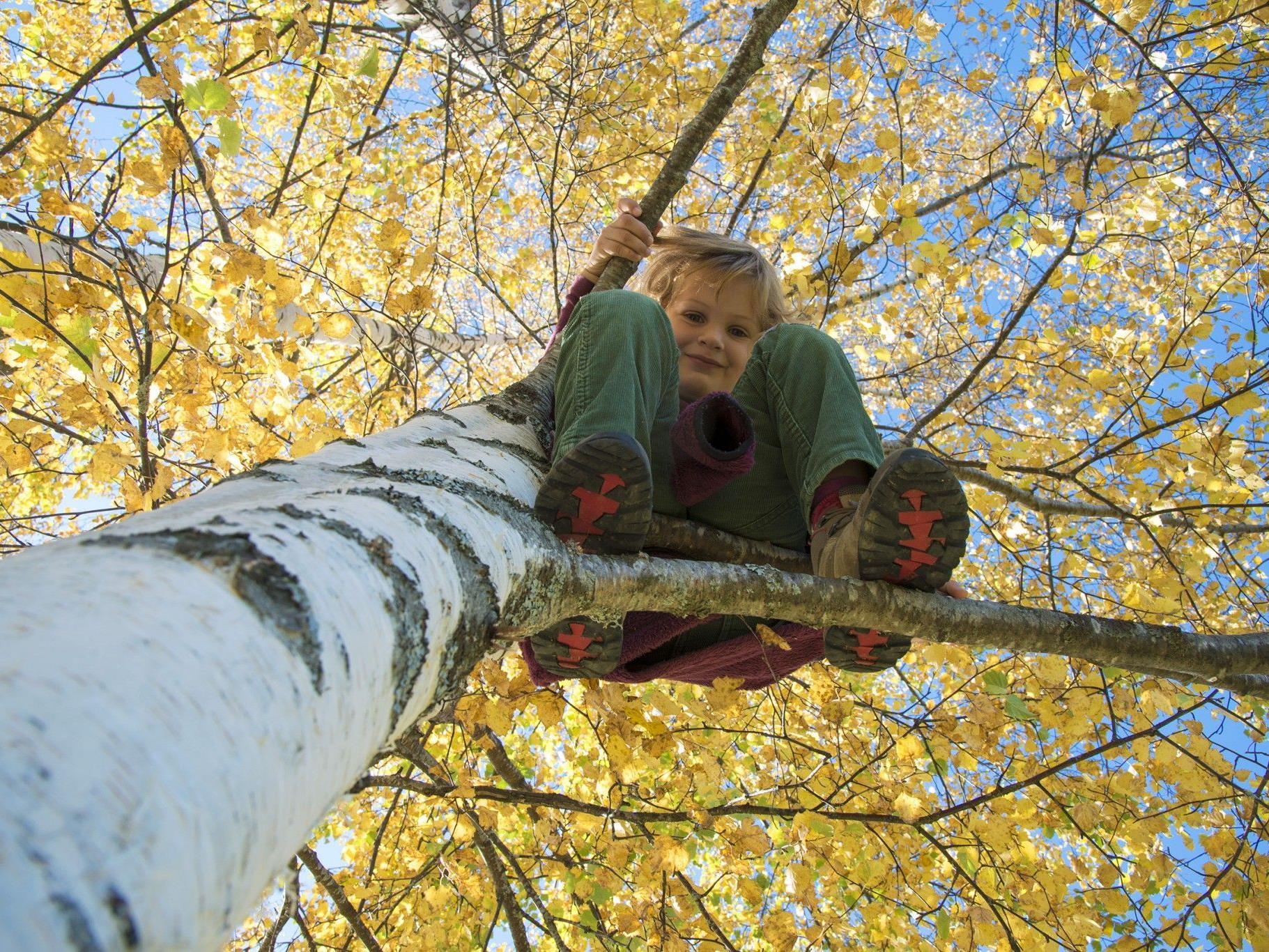 Lernen, Spiel und Spaß in der Natur sind angesagt: In Nüziders soll ein Waldkindergarten entstehen.