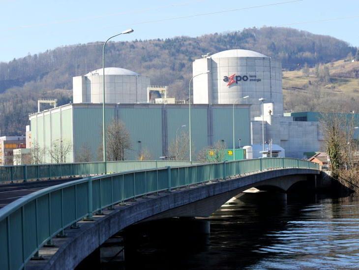 Die Schweizerische Industrie will an den Atomkraftwerken (Bild: Beznau) festhalten.
