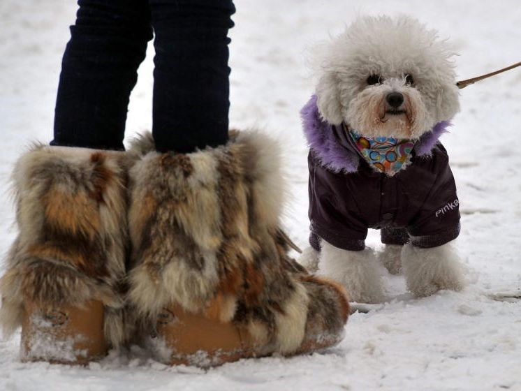 Schnee: Immer kalt, meisten weiß, manchmal grau. Schnee: Immer kalt, meisten weiß, manchmal grau.