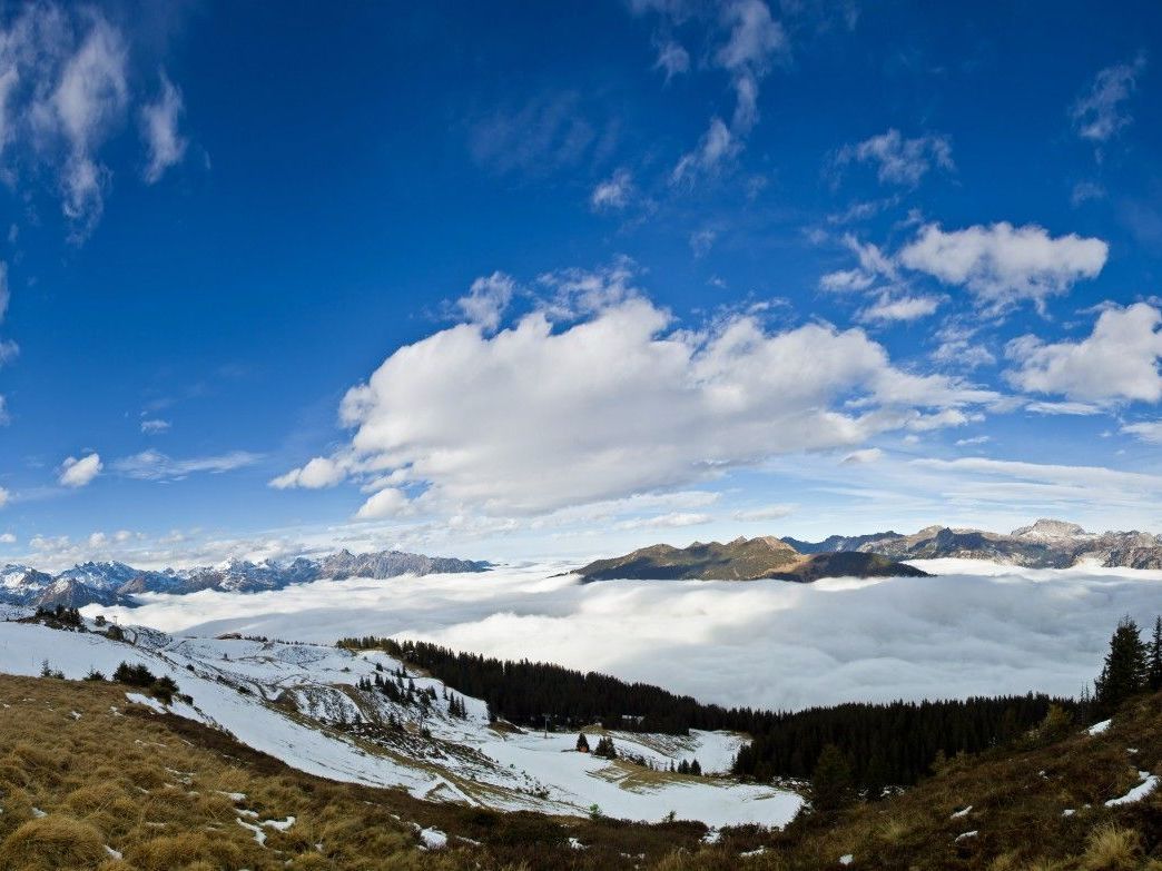 Wärmster 24. Dezember seit mehr als 60 Jahren. Wärmster 24. Dezember seit mehr als 60 Jahren.