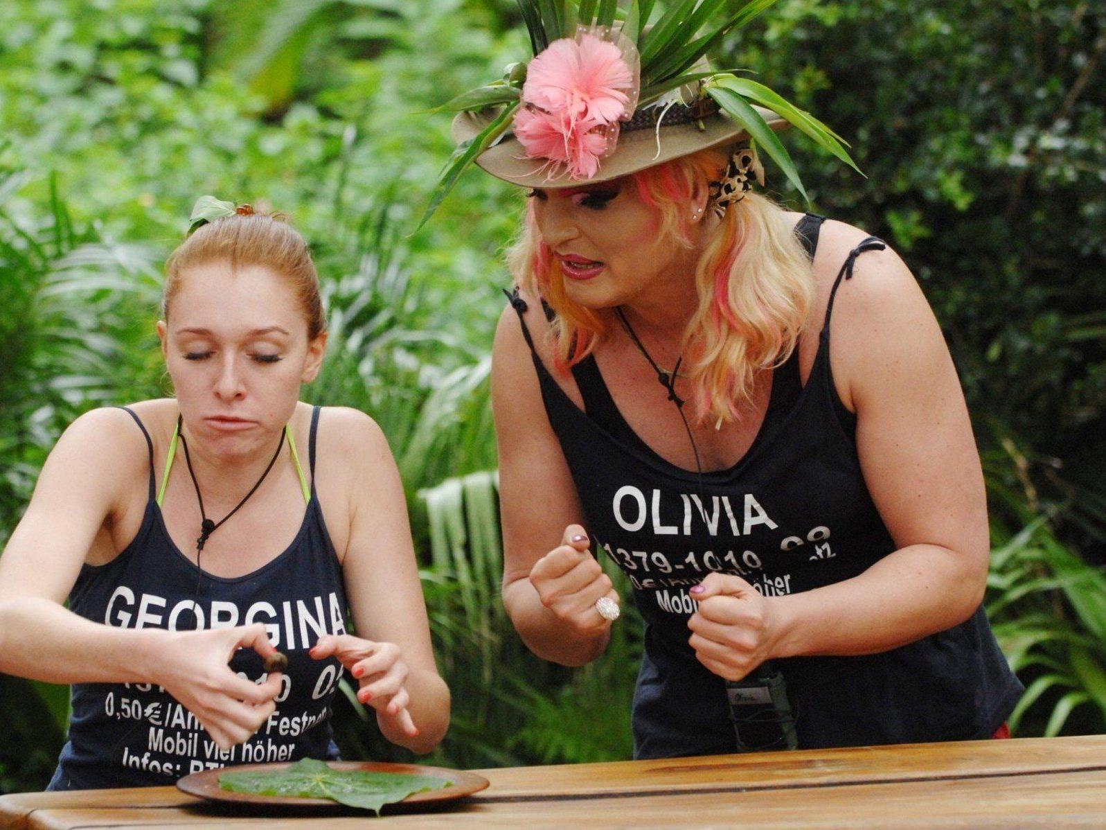Georgina und Olivia aßen beim Dschungelcamp 2013 Köstlichkeiten aus dem australischen Dschungel. Georgina und Olivia aßen beim Dschungelcamp 2013 Köstlichkeiten aus dem australischen Dschungel.