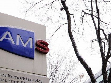 AMS: 2012 gab es mehr Arbeitslose, gleichzeitig Rekordbeschäftigung AMS: 2012 gab es mehr Arbeitslose, gleichzeitig Rekordbeschäftigung