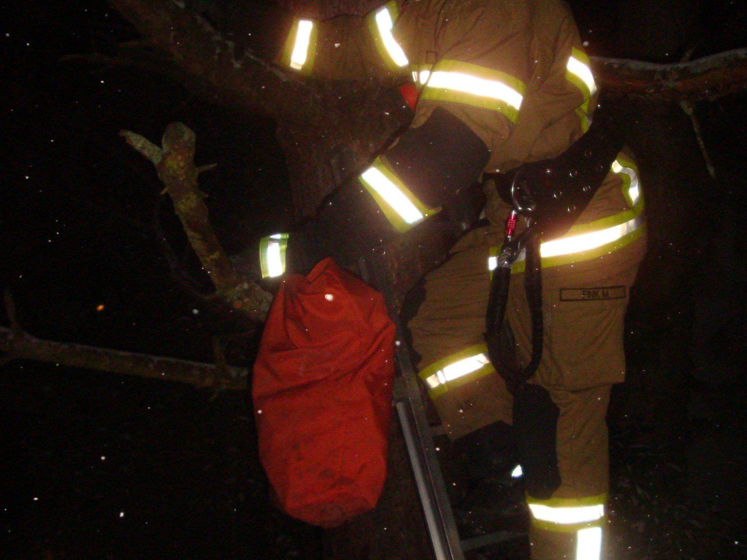 Feuerwehrmann rettete Katze von Baum Feuerwehrmann rettete Katze von Baum