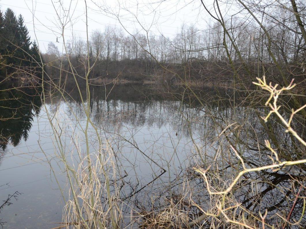 Mit Renaturierungsmaßnahmen soll der Altacher Baggersee im „Sauwinkel“ zu einem Naturjuwel werden.