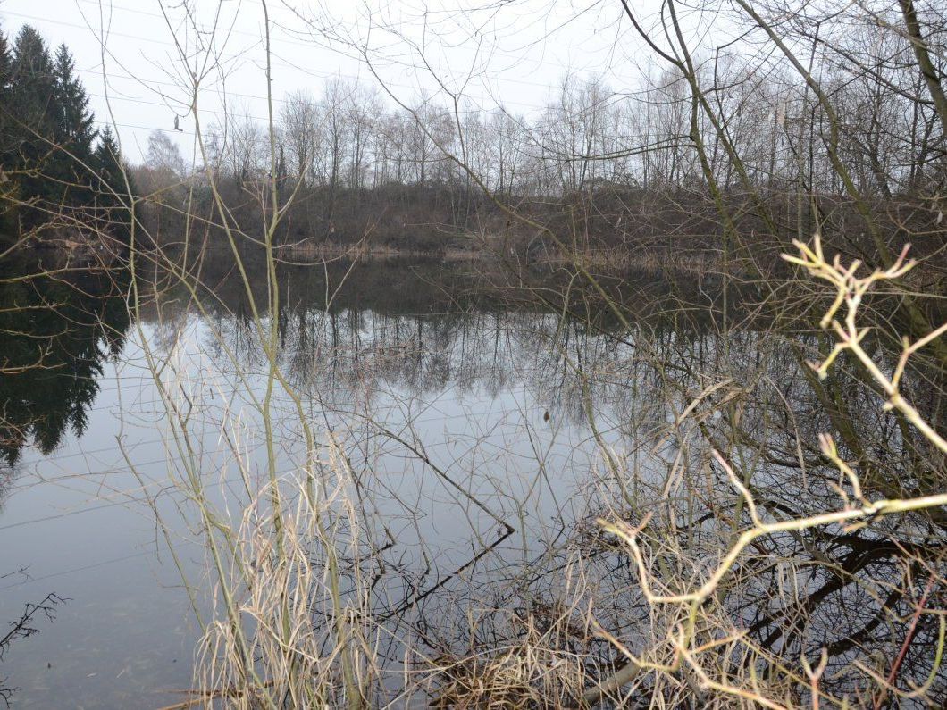 Mit Renaturierungsmaßnahmen soll der Altacher Baggersee im „Sauwinkel“ zu einem Naturjuwel werden.