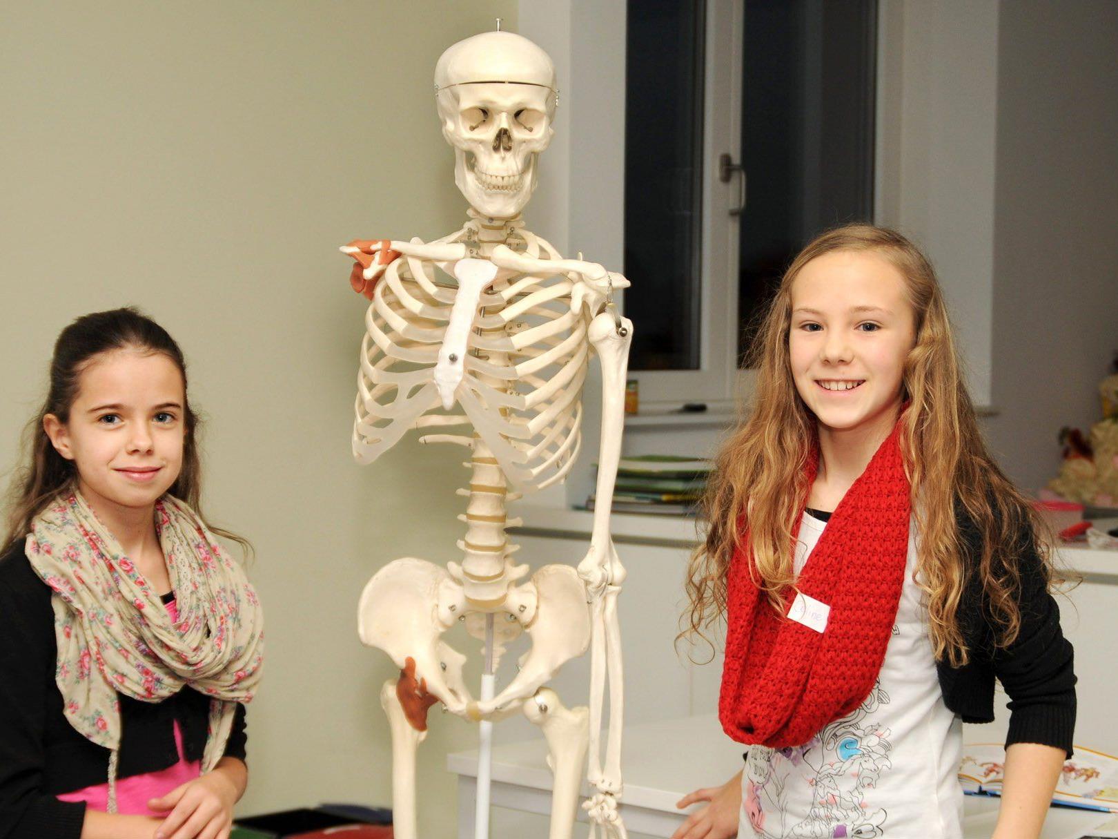 Lea und Celine mit dem Skelett aus dem Biologiesaal der Vorarlberger Mittelschule Höchst