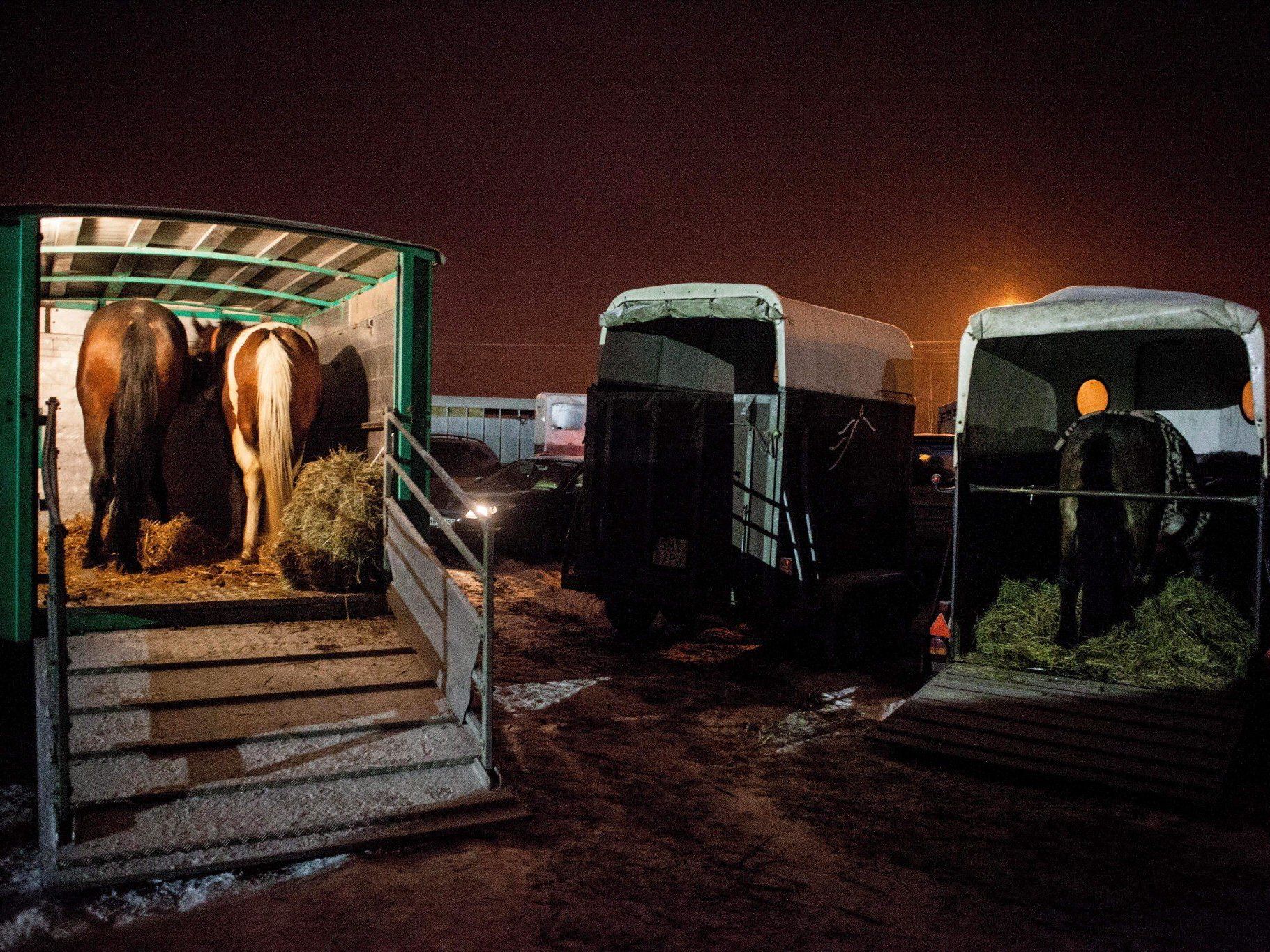 Pferdefleisch-Skandal nahm seinen Anfang in Großbritannien und Irland. Pferdefleisch-Skandal nahm seinen Anfang in Großbritannien und Irland.