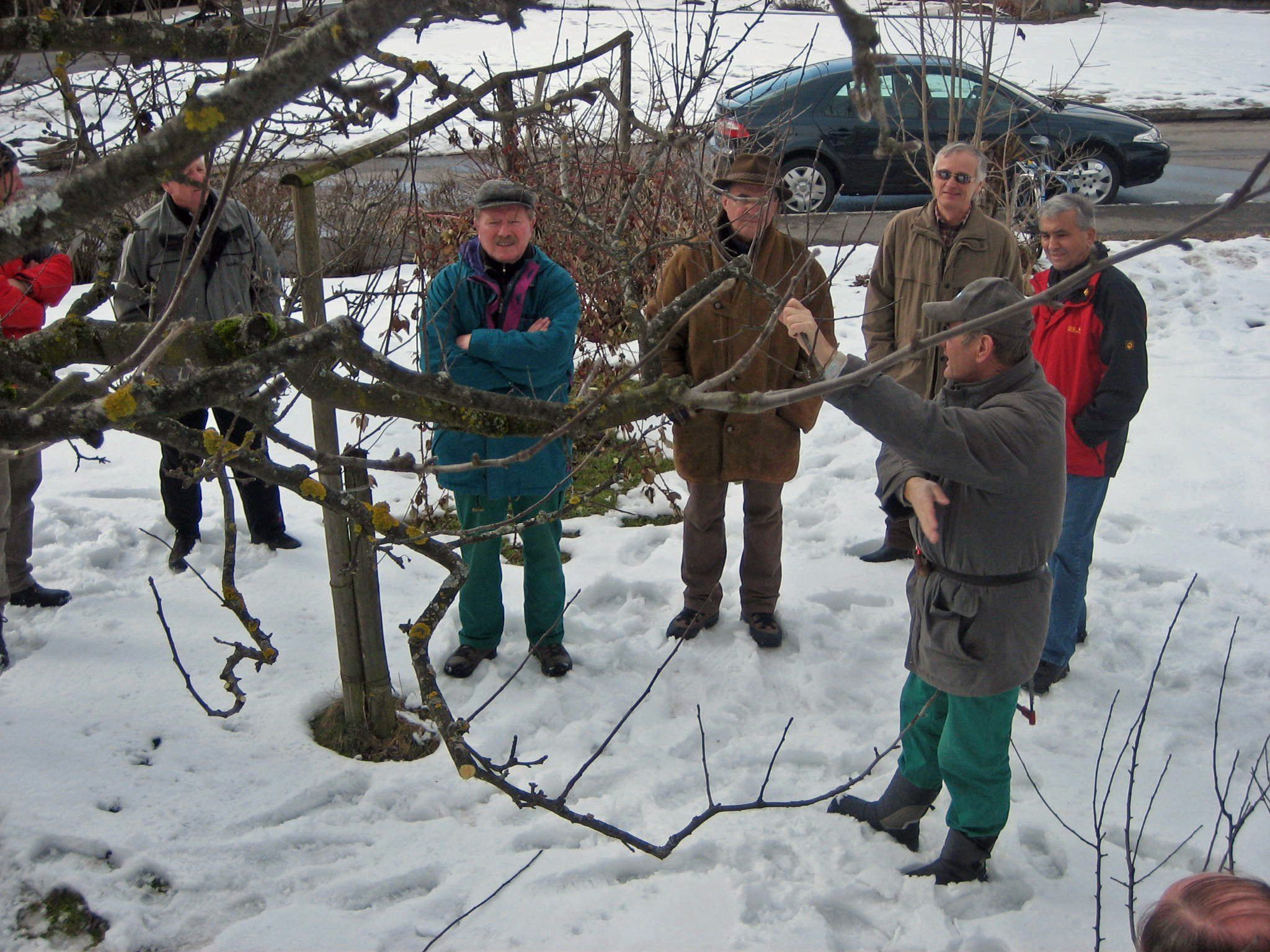 Winterschnitt an Bäumen Winterschnitt an Bäumen