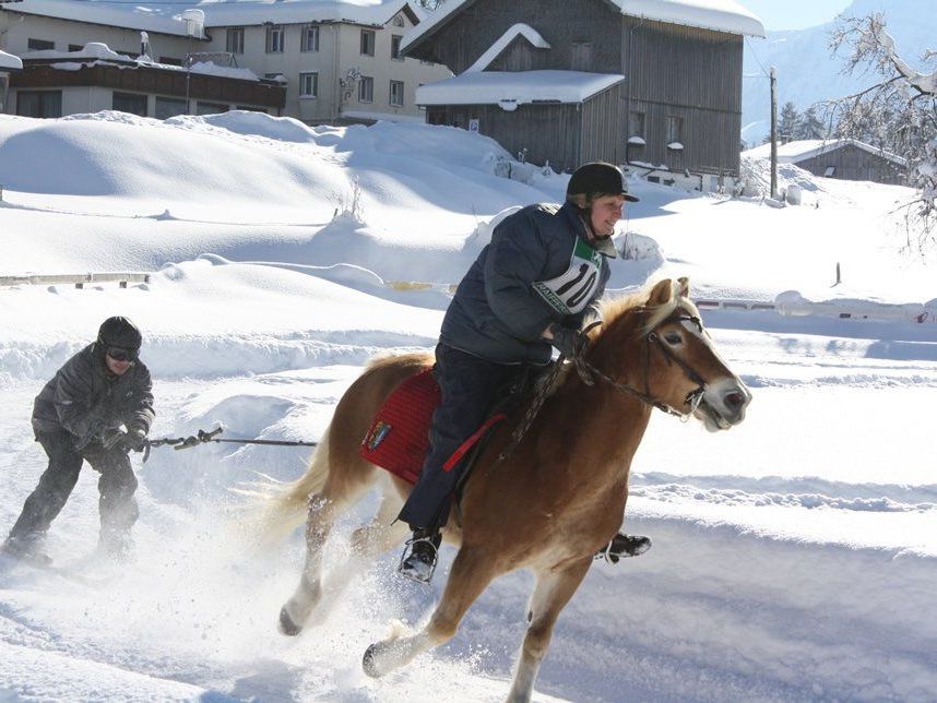 Unterhaltsamer Pferdesport wurde beim Skijöring in Langenegg geboten. Unterhaltsamer Pferdesport wurde beim Skijöring in Langenegg geboten.