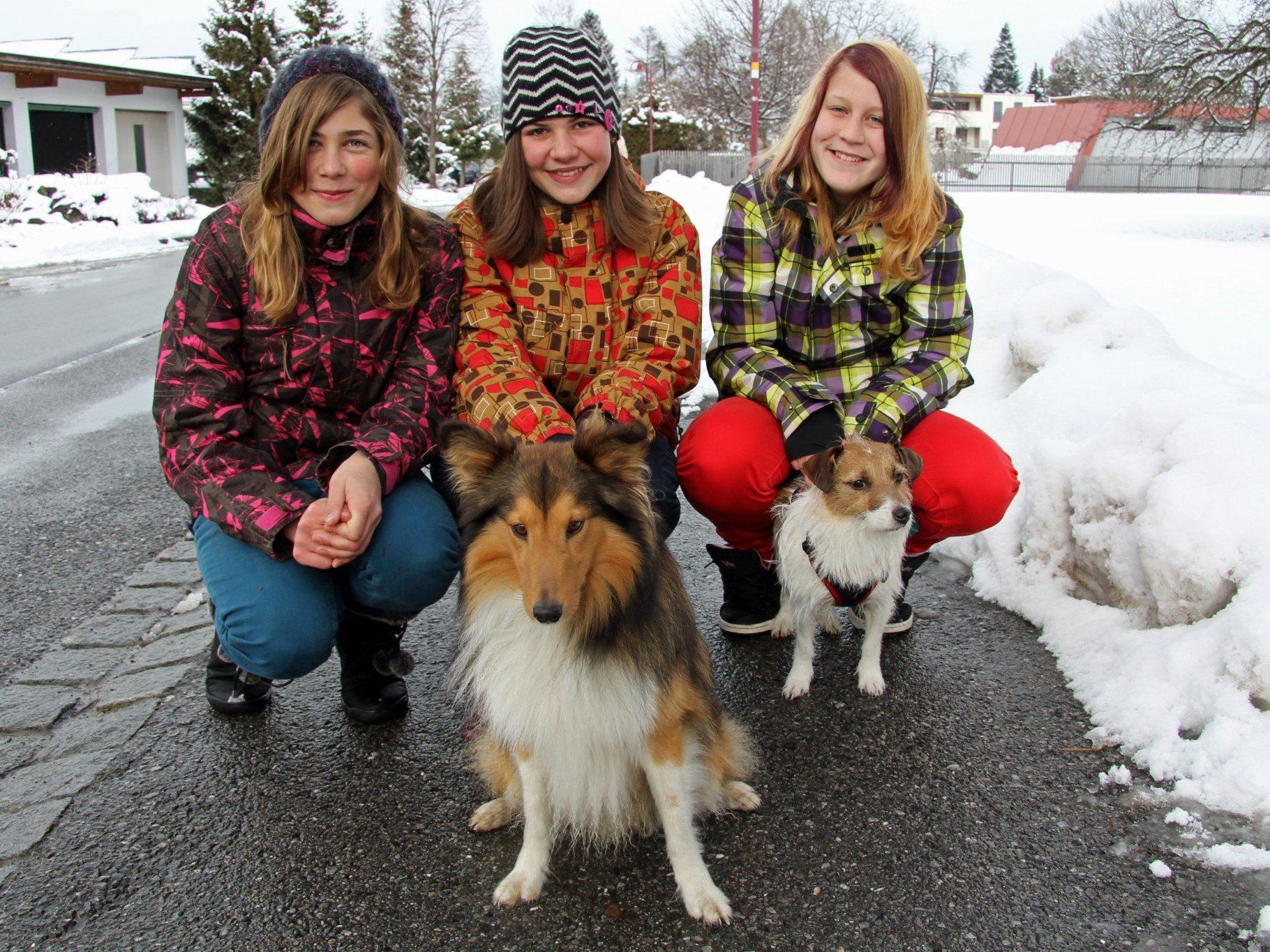 Die drei Jung-Tierschützerinnen mit ihren Lieblingen: Jana, Tamara und Alexandra (von links) Die drei Jung-Tierschützerinnen mit ihren Lieblingen: Jana, Tamara und Alexandra (von links)