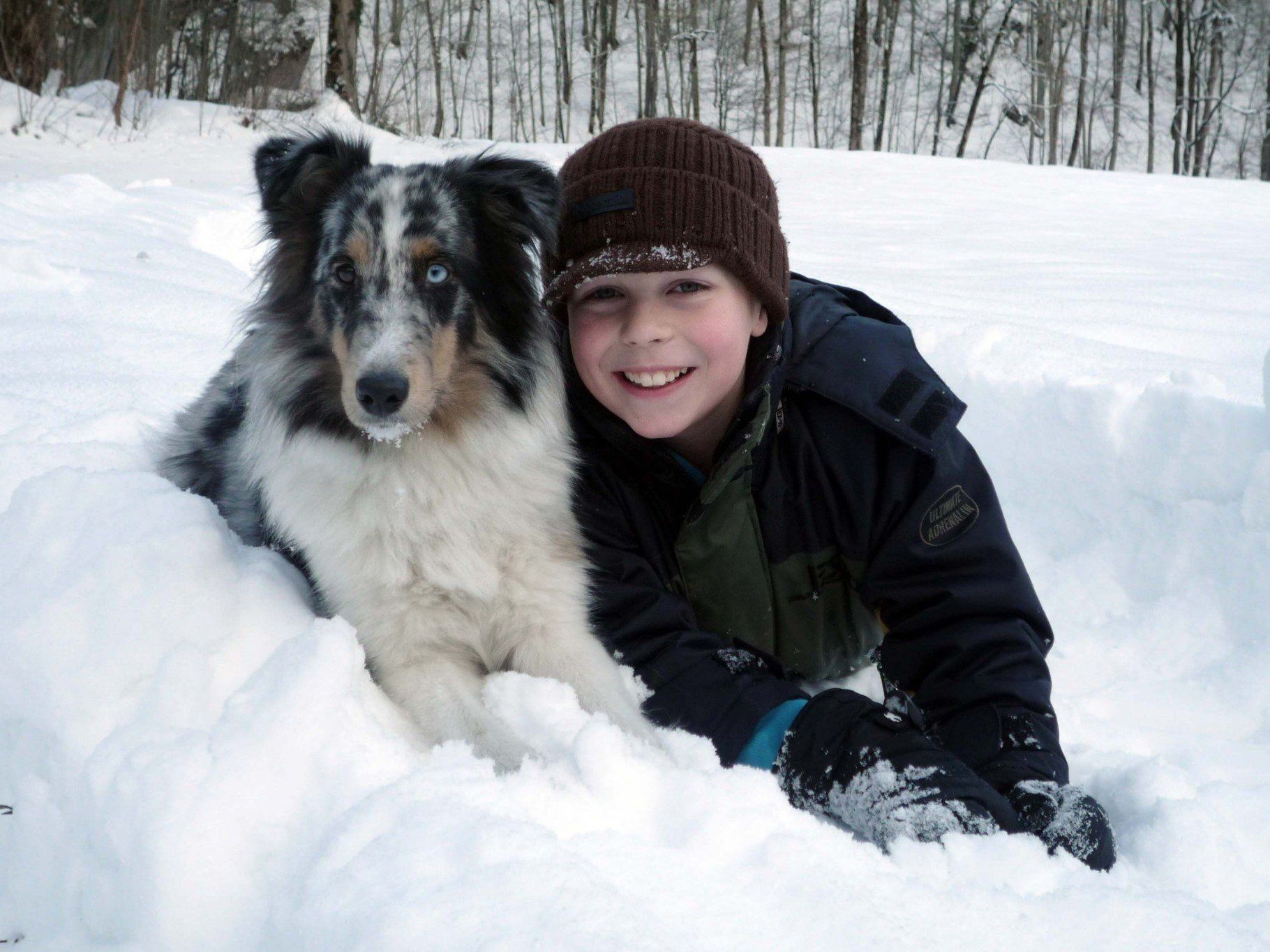Der Winterschlaf ist vorbei – der Hundesportverein Nüziders startet an diesem Wochenende in die Frühjahrssaison. Der Winterschlaf ist vorbei – der Hundesportverein Nüziders startet an diesem Wochenende in die Frühjahrssaison.