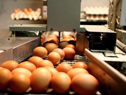 Millionen Eier wurden angeblich falsch deklariert.