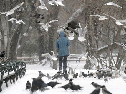 Am Wochenende soll es in Österreich erneut schneien. Am Wochenende soll es in Österreich erneut schneien.