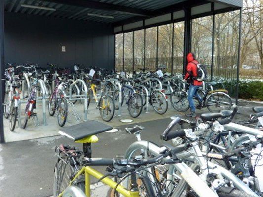 "Vorarlberger sind die Niederländer Österreichs". "Vorarlberger sind die Niederländer Österreichs".