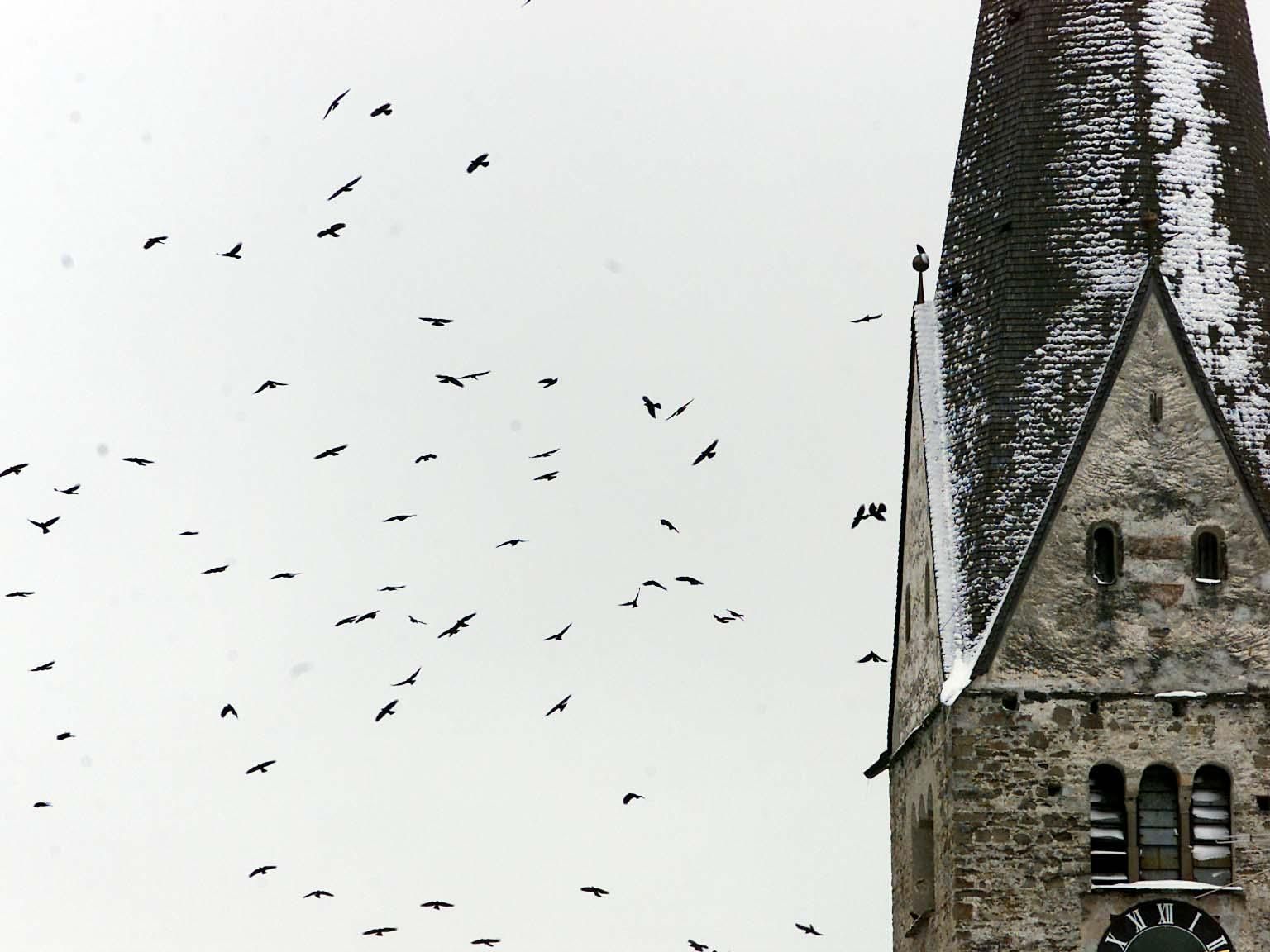 Symbolbild Symbolbild