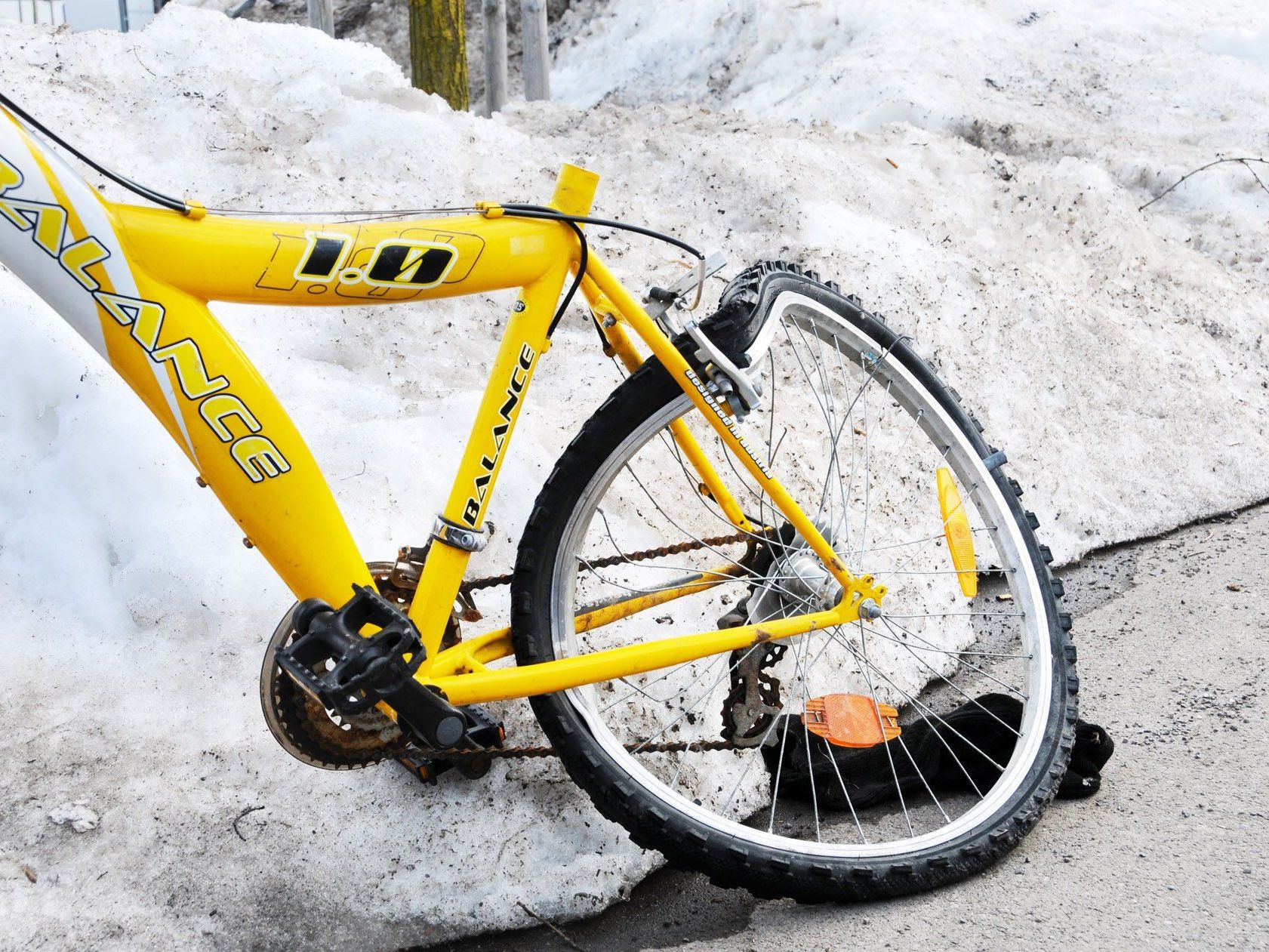 Fahrrad kaputt? Auf dem Basar in Höchst oder Fußach findet sich vielleicht ein neues. Fahrrad kaputt? Auf dem Basar in Höchst oder Fußach findet sich vielleicht ein neues.