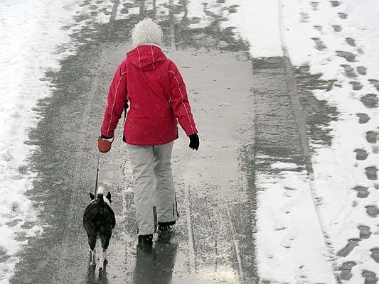 Auf leicht angezuckerte Straßen muss sich Wien einstellen - das große Schnee-Chaos bleibt aber aus Auf leicht angezuckerte Straßen muss sich Wien einstellen - das große Schnee-Chaos bleibt aber aus