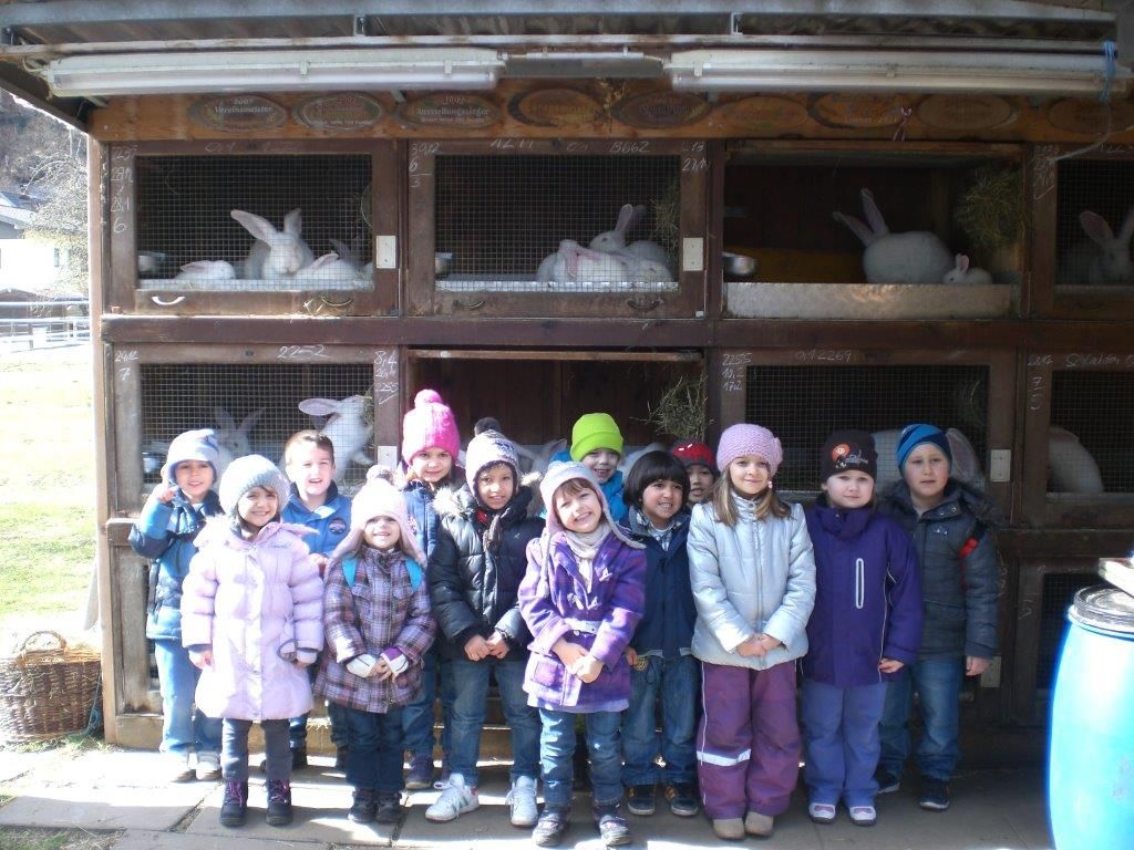 Beim Anblick der Hasen leuchteten die Augen der Kinder Beim Anblick der Hasen leuchteten die Augen der Kinder