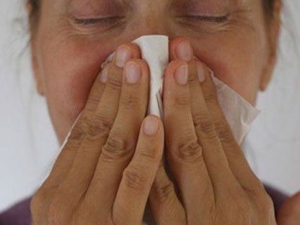Influenza offenbar am Abflauen - 15.800 Neuerkrankungen in Wien Influenza offenbar am Abflauen - 15.800 Neuerkrankungen in Wien