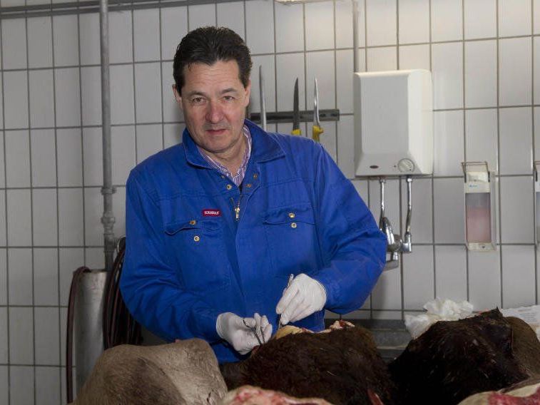 Amtstierarzt Kessler entnimmt BSE-Proben: „Im Sommer ist der Geruch hier ein Gesamterlebnis.“ Amtstierarzt Kessler entnimmt BSE-Proben: „Im Sommer ist der Geruch hier ein Gesamterlebnis.“
